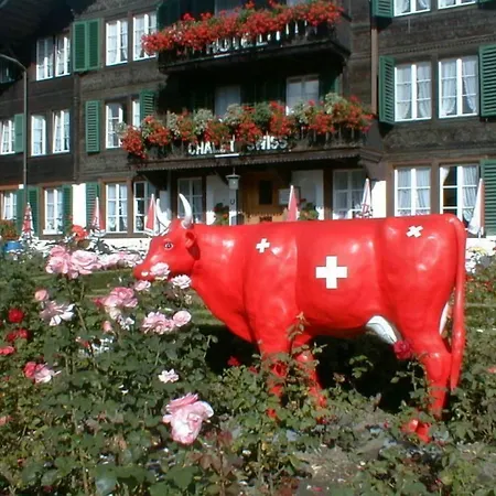 Hotel Swiss 3*