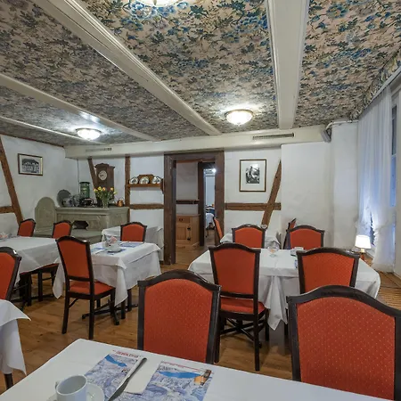 Swiss Hotell Unterseen