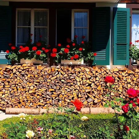 سويس فندق Unterseen