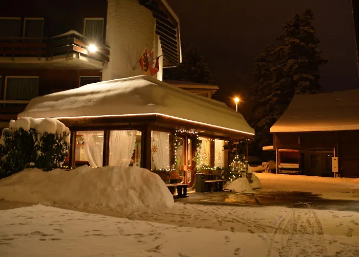Swiss 3* Unterseen