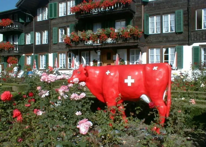Hotel Swiss 3*